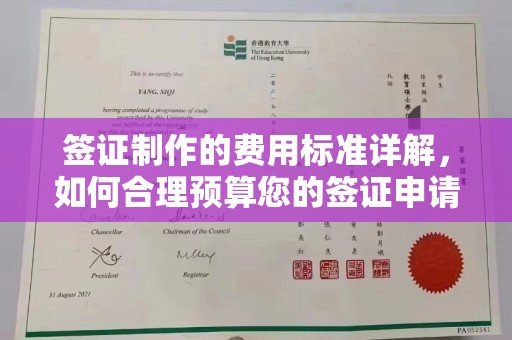 乾安签证制作的费用标准详解，如何合理预算您的签证申请成本
